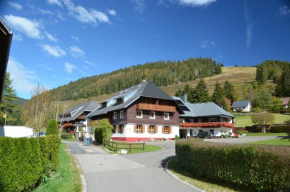 Ferienwohnungen Sternenthal